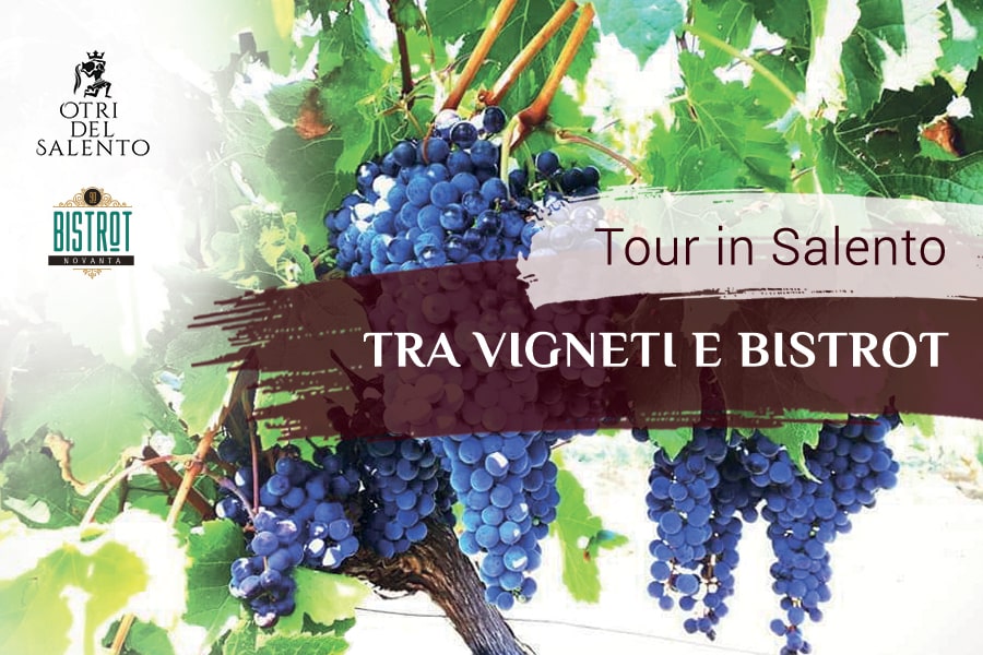 degustazione vini salento lecce